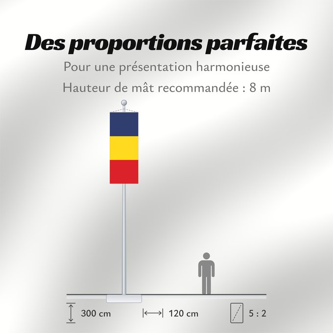 Proportions du drapeau : Romania Romania from 1867 until 1947 and since 1989 Roumanie Rumania Rumäniens Roemenië Roménia Rumunii Сцяг Румыніі Сьцяг Румыніі Знаме на Румъния Banniel Roumania Rumunská vlajka ꙁна́мѧ Роумꙑні́ꙗ Rwmania Rumæniens Σημαία της Ρουμανίας Rumeenia lipp Roma