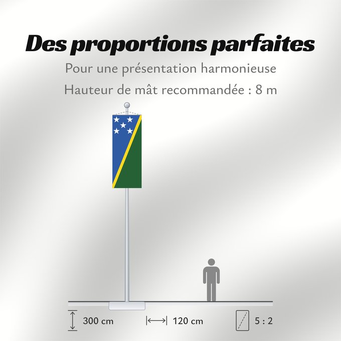 Proportions du drapeau : Solomon Islands	îles Salomon	Islas Salomón	Salomonen	Isole Salomone	Salomonseilanden	Ynysoedd Solomon	Oileán Sholamón	Brattagh ny h-Ellanyn Holomon	Ynysow Salamon	The Solomon Islands	Salomonovih otokih