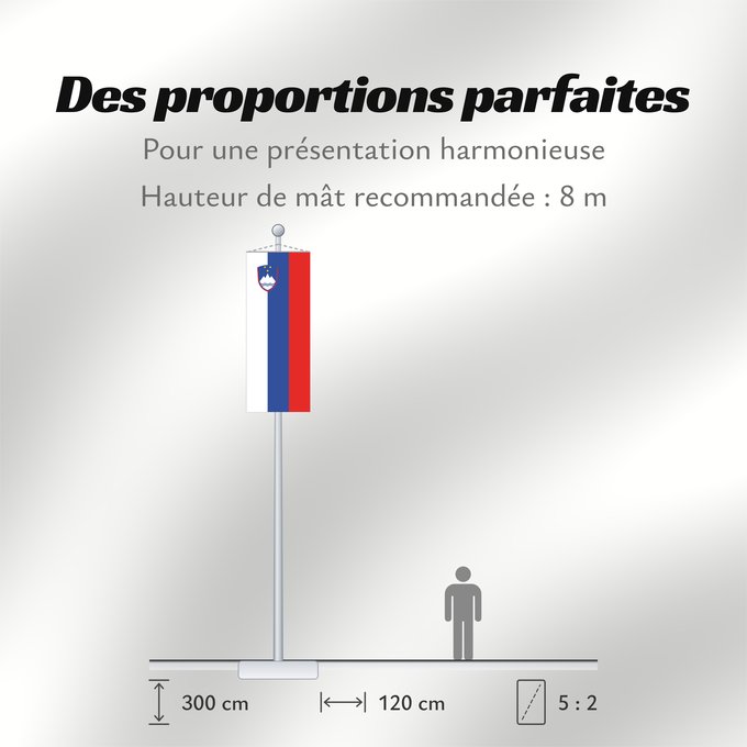Proportions du drapeau : Slovenia	Slovénie	Eslovenia	Slowenien	Slovenië	Słowenii	Сцяг Славеніі	Slovenije	D Eslovènia	Slovinská vlajka	Флаг Словении	Прапор Словенії