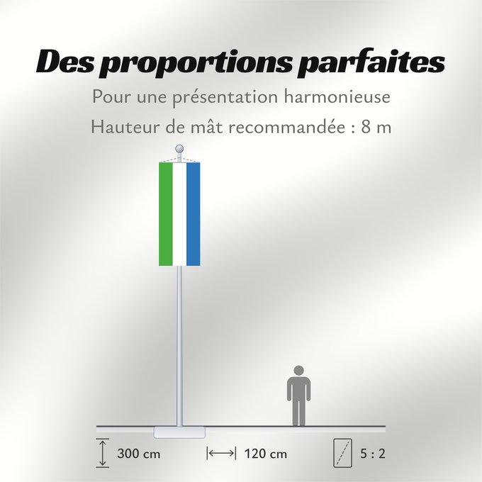 Proportions du drapeau : Sierra Leone	Sierra Leona	Sierra Leones	Sieraleono	Sierre Leone