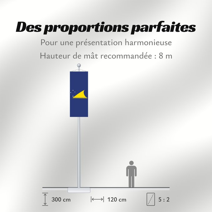 Proportions du drapeau : Tokelau	Tokelau since May 2008	Tokelau que fuera adoptada en mayo de 2008 por el parlamento local de este territorio dependiente de Nueva Zelanda	Pīwari o Tokelau