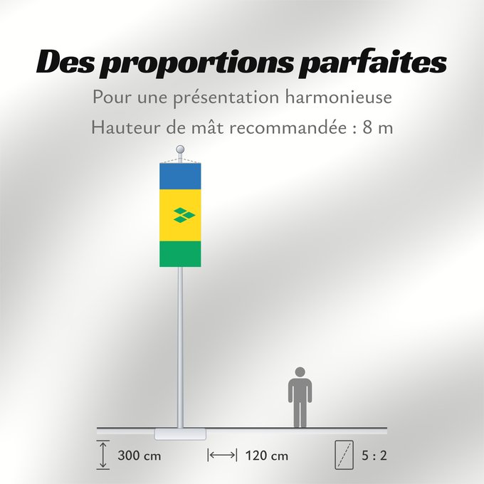 Proportions du drapeau : Saint Vincent and the Grenadines	Saint-Vincent-et-les Grenadines	San Vicente y las Granadinas	St. Vincent und die Grenadinen	Saint Vincent e Grenadine	Флаг Сент-Винсента и Гренадин	Saint Vincenta in Grenadin