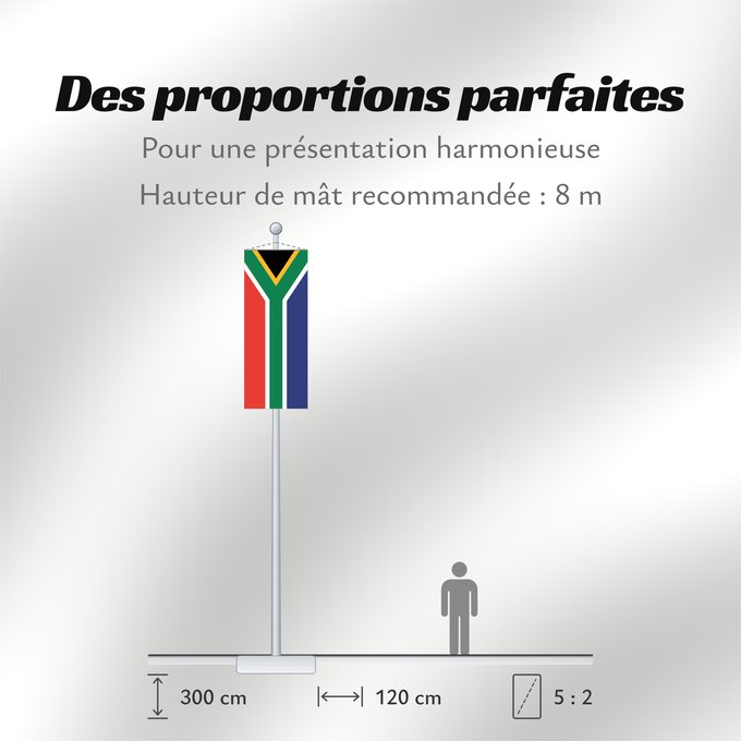 Proportions du drapeau : South Africa	Afrique du Sud	Sudáfrica	Südafrika	Sudafrica	South África Used color National flag | South African Government and Pantone Color Picker      green rendered as RGB 000 119 073Pantone 3415 C      yellow rendered as RGB 255 184 028Pantone 1235 C 