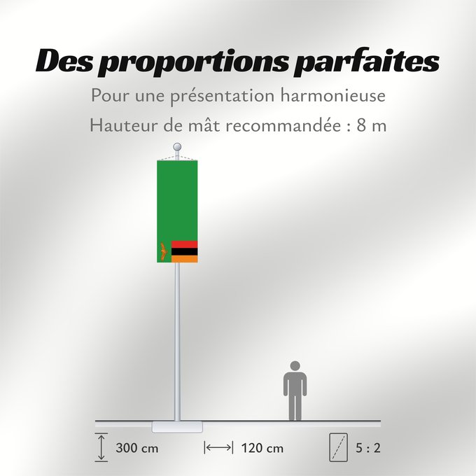 Proportions du drapeau : Zambia Zambie Sambia Zambio Saimbia Zambi Mbendera ya Zambia Флаг Замбии Zambije Mujeko ya Zambia Folaga la Zambia