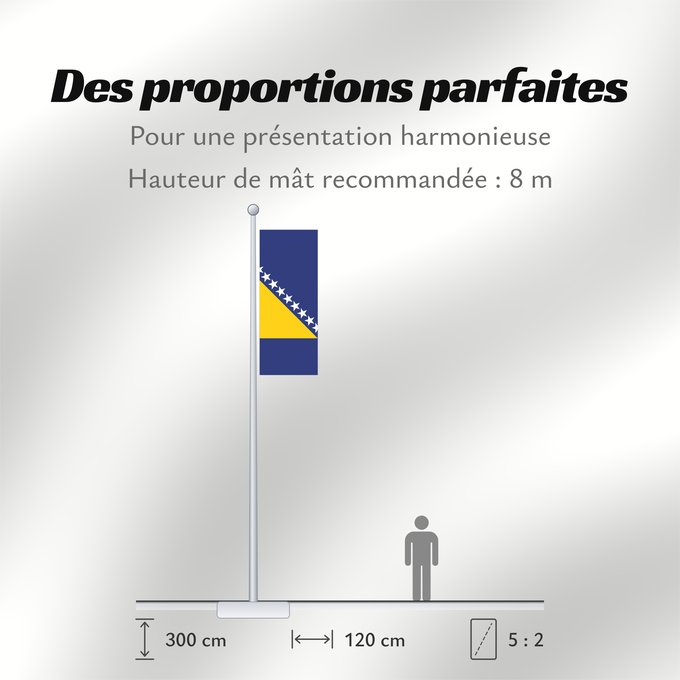 Proportions du drapeau : Bosnia and Herzegovina	Bosnie-Herzégovine	Bosnia y Herzegovina	Bosnien und Herzegowina	Bosnia-Erzegovina	Bosnië en Herzegovina	Bośni i Hercegowiny	علم البوسنة والهرسك	Bosne i Hercegovine	Bosny a Hercegoviny	Боснꙑ ꙁнамѧ / Ⰱⱁⱄⱀⱏⰺ ⰸⱀⰰⰿⱔ	Bosnien-Hercegovinas	