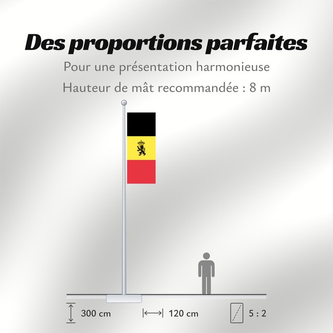 Proportions du drapeau : Belgium civil Belgium Belgique Bélgica Belgien Belgio