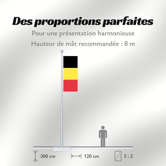 Proportions du drapeau : Belgium civil The civil ensign and flag of Belgium Belgique Bélgica Belgien Belgio België in de verhouding 2 3, gebruikt als civiele vlag en de facto nationale vlag Belgii Belgiens Civilna zastava Belgije Флаг Бельгии