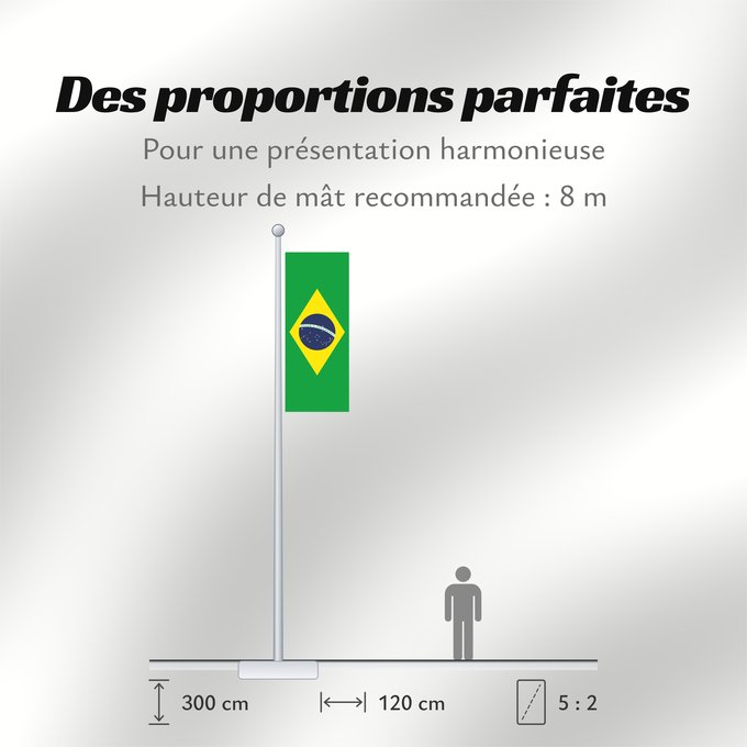 Proportions du drapeau : Brazil	Brésil	Brasil	Brasilien	Brasile
