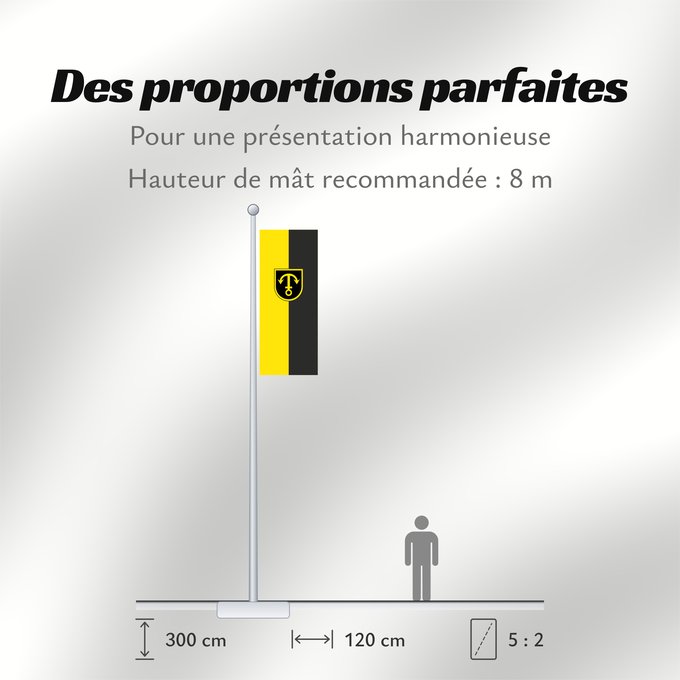 Proportions du drapeau : Empfingen (Nördlicher Schwarzwald)