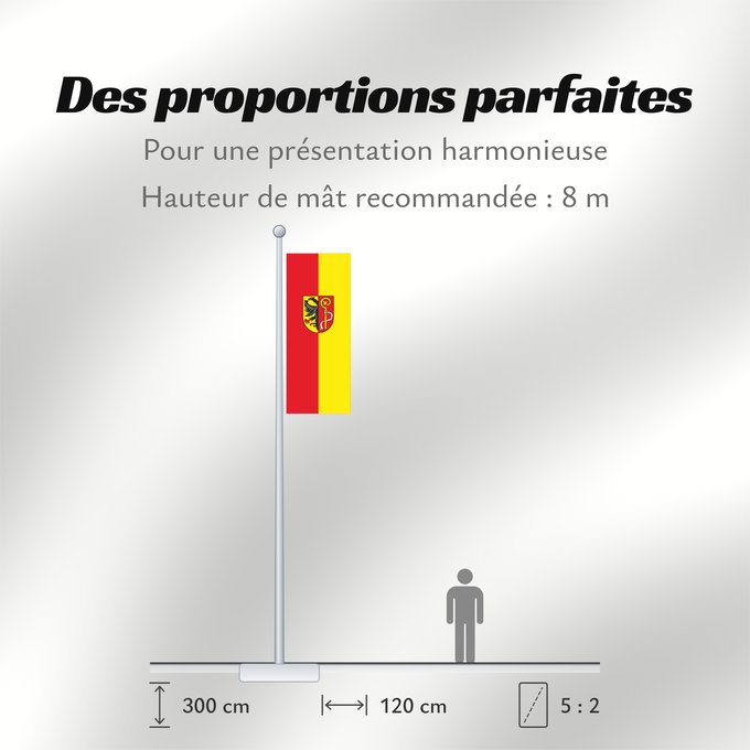 Proportions du drapeau : Biberach (Kreis)