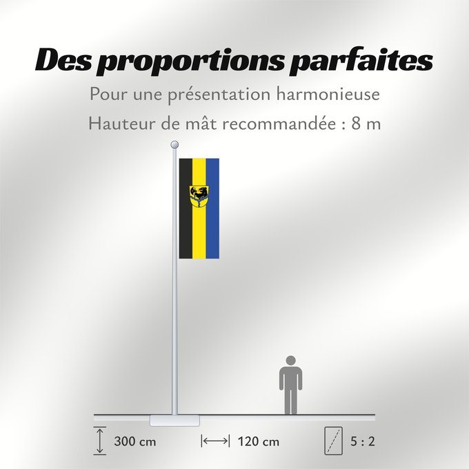Proportions du drapeau : Haiming (Inn-Salzach)