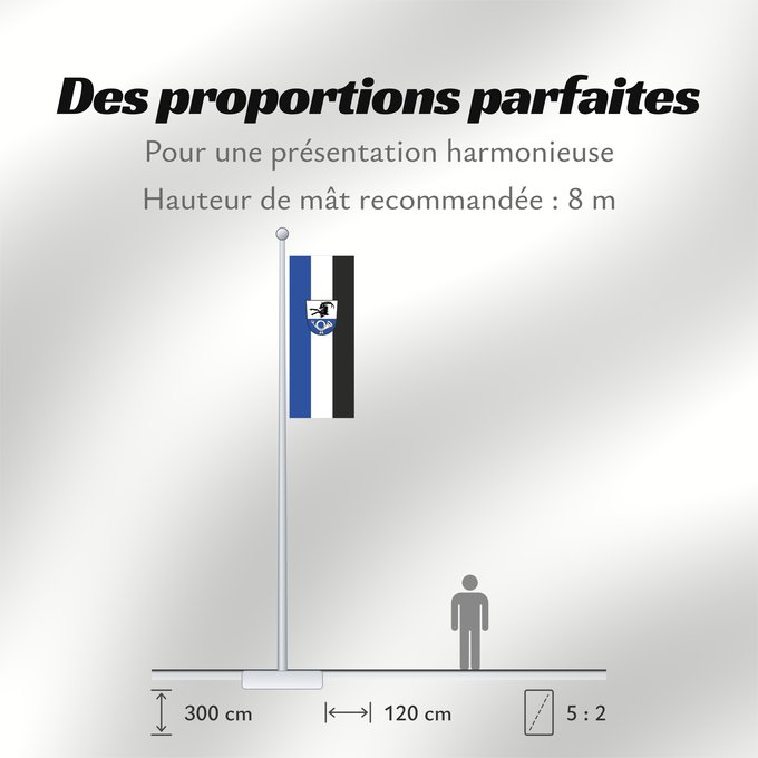 Proportions du drapeau : Steinhöring (Ebersberger Grünes Land)