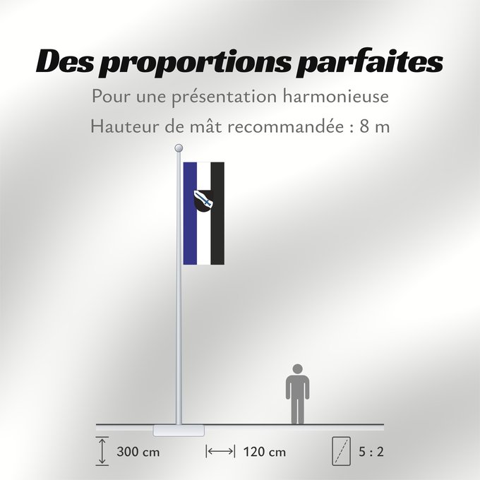 Proportions du drapeau : Finning (Ammersee-Lech)