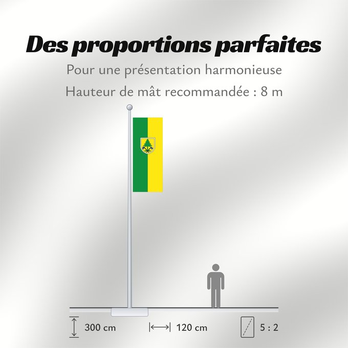 Proportions du drapeau : Neuried (Münchener Umland)