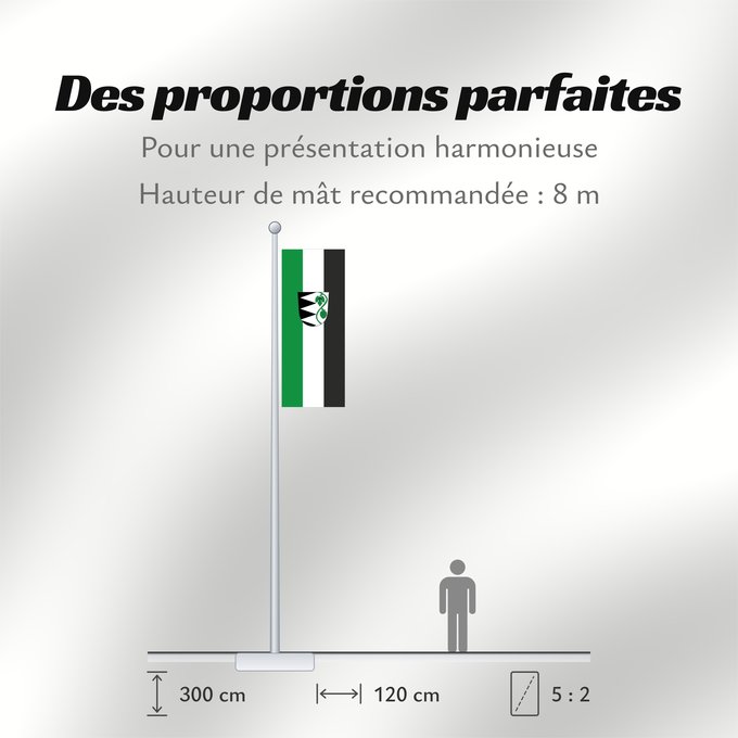 Proportions du drapeau : Rohrbach (Oberbayerns Städte)