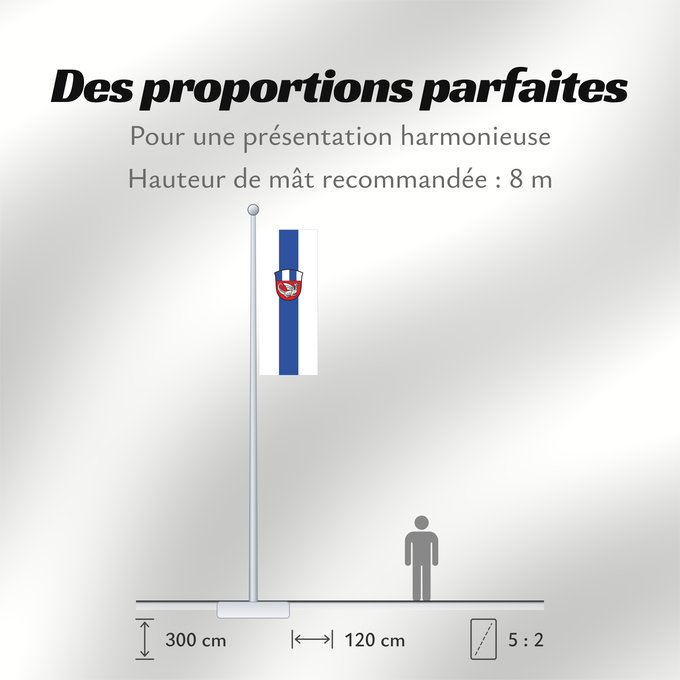 Proportions du drapeau : Frasdorf (Chiemsee-Alpenland)