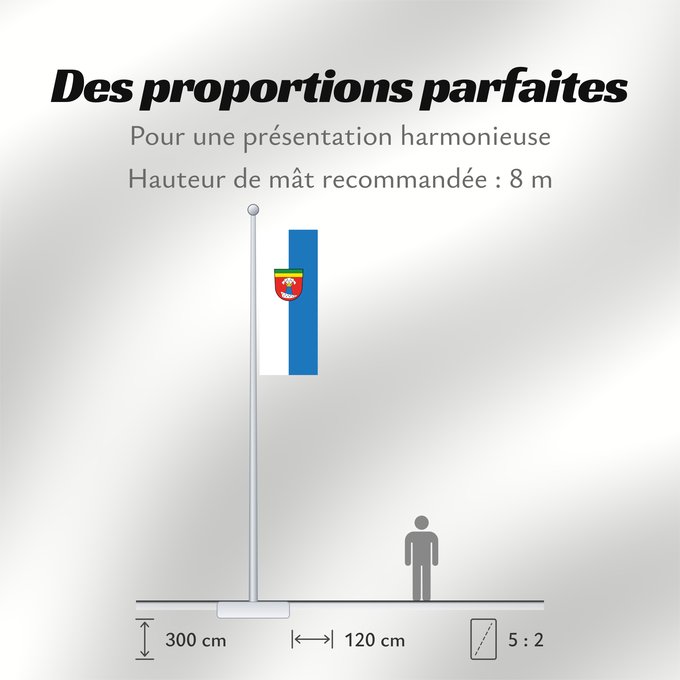 Proportions du drapeau : Vilsheim (Bayerisches Golf- und Thermenland)