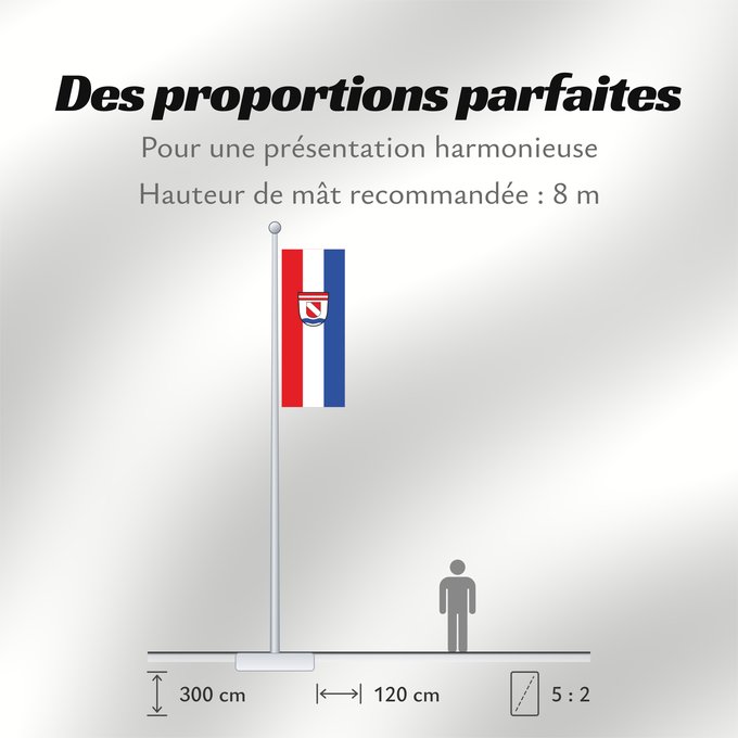 Proportions du drapeau : Aholfing (Bayerisches Golf- und Thermenland)