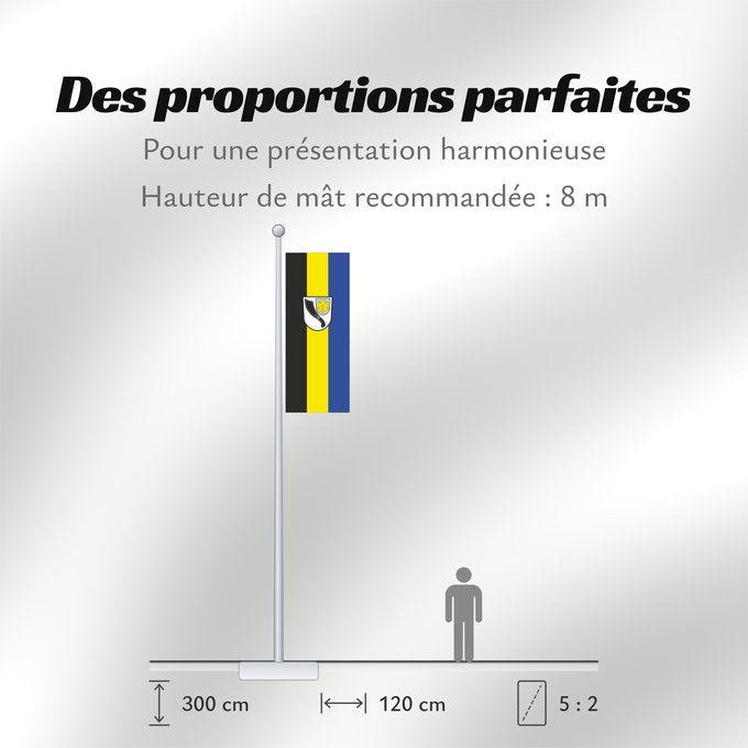 Proportions du drapeau : Bindlach (Fichtelgebirge)