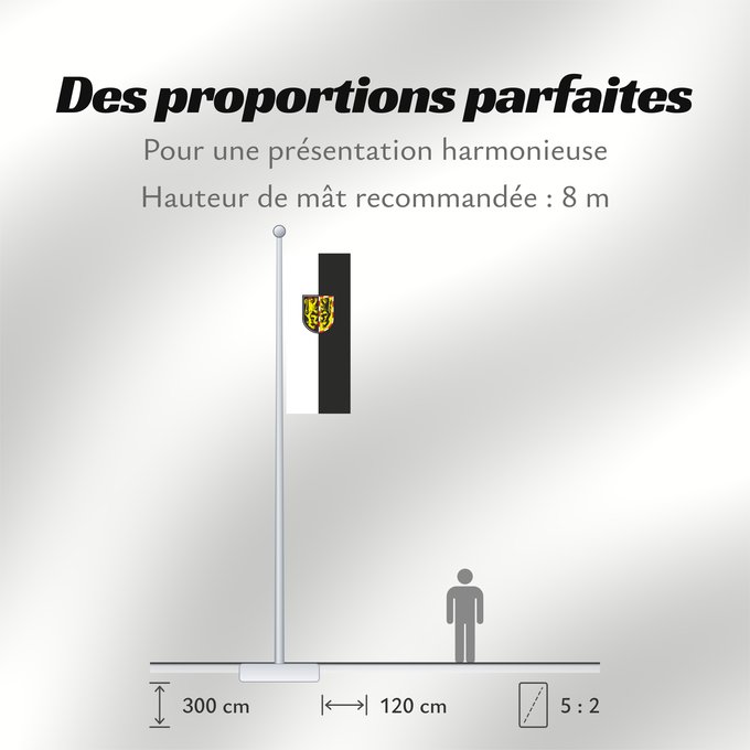 Proportions du drapeau : Hof (Kreis)