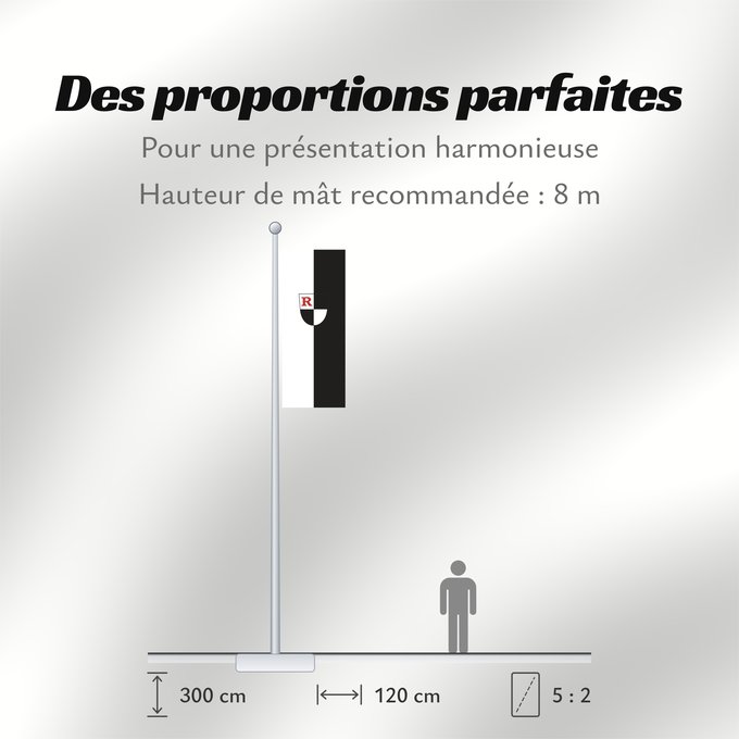 Proportions du drapeau : Roth, St (Fränkisches Seenland)