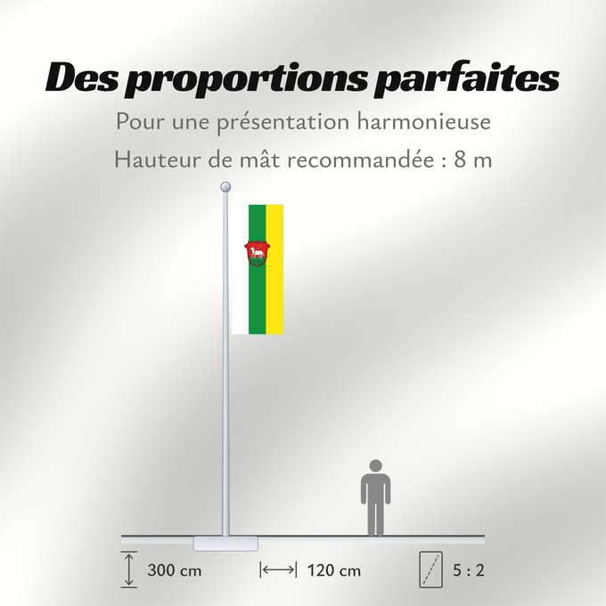 Proportions du drapeau : Bütthard, M (Fränkisches Weinland)