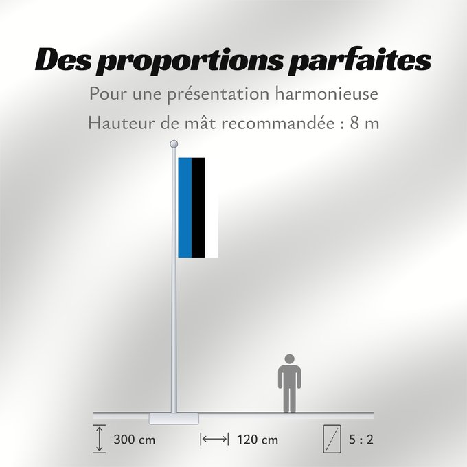 Proportions du drapeau : Estonia L Estonie Estland Estone Estónia Estonii Сцяг Эстоніі Национално знаме на Естония Estonská vlajka Σημαία της Εσθονίας Eesti lipp پرچم کشور استونی Viron HEastóine Észtország エストニアの国旗 ესტონეთის დროშა Estijos Igaunijas Знаме на Естонија Estoniei Флаг