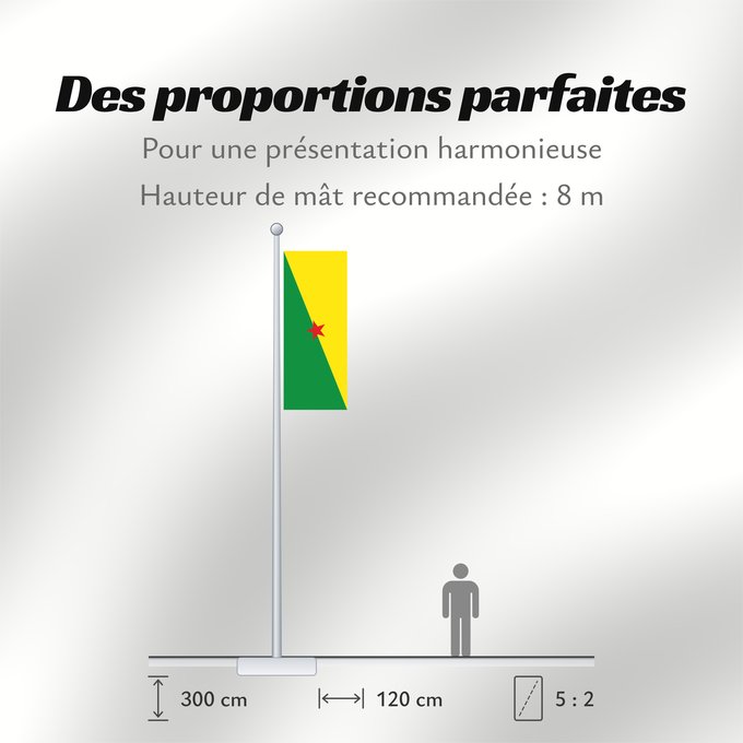 Proportions du drapeau : French Guiana	Guyane	Guayana Francesa	Französisch-Guayana	Guyana Francese