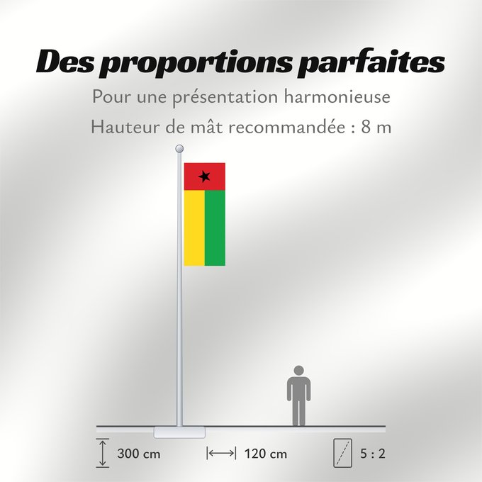 Proportions du drapeau : Guinea-Bissau Guinée-Bissau Guinea-Bissaus Guiné-Bissau Gvineo Bisaŭa پرچم گینه بیسائو Флаг Гвинеи-Бисау Gvineje Bissau