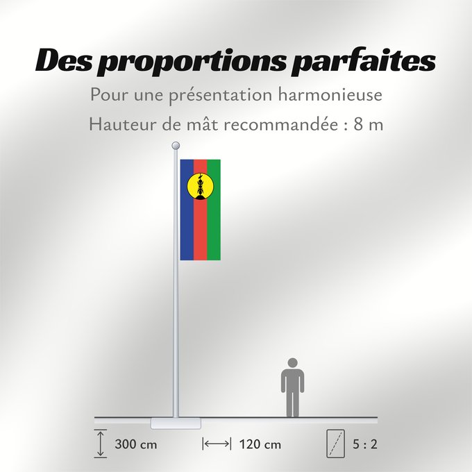 Proportions du drapeau : FLNKS Kanak and Socialist National Liberation Front political party Front de libération nationale kanak et socialiste Colores Pantone http //www Neukaledonien Nuova Caledonia Front d Alliberament Nacional Canac Socialista