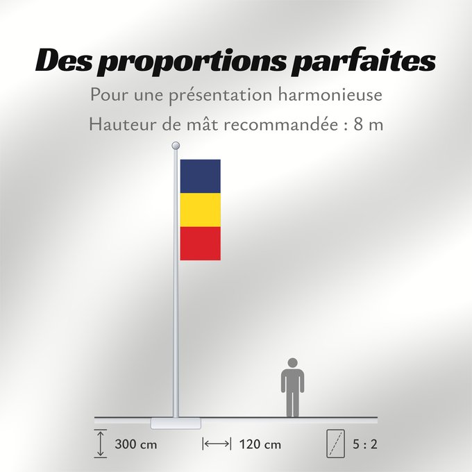 Proportions du drapeau : Romania	Romania from 1867 until 1947 and since 1989	Roumanie	Rumania	Rumäniens	Roemenië	Roménia	Rumunii	Сцяг Румыніі	Сьцяг Румыніі	Знаме на Румъния	Banniel Roumania	Rumunská vlajka	ꙁна́мѧ Роумꙑні́ꙗ	Rwmania	Rumæniens	Σημαία της Ρουμανίας	Rumeenia lipp	Roma