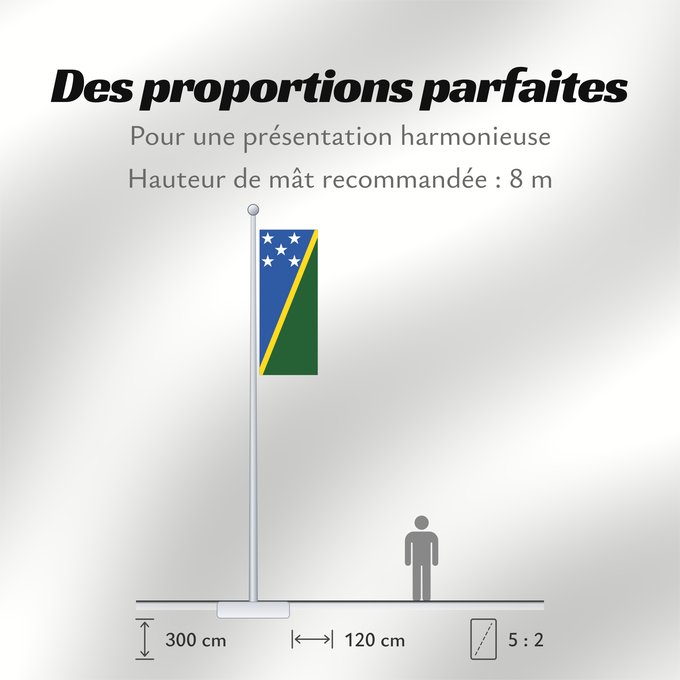 Proportions du drapeau : Solomon Islands	îles Salomon	Islas Salomón	Salomonen	Isole Salomone	Salomonseilanden	Ynysoedd Solomon	Oileán Sholamón	Brattagh ny h-Ellanyn Holomon	Ynysow Salamon	The Solomon Islands	Salomonovih otokih