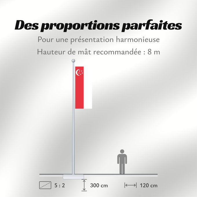 Proportions du drapeau : Singapore	Singapour	Singapur	Singapuru	علم سنغافورة	Singapuro	Singapura	Флаг Сингапура	Singapurja	சிங்கப்பூரி்ன் கொடி	​新加坡国旗