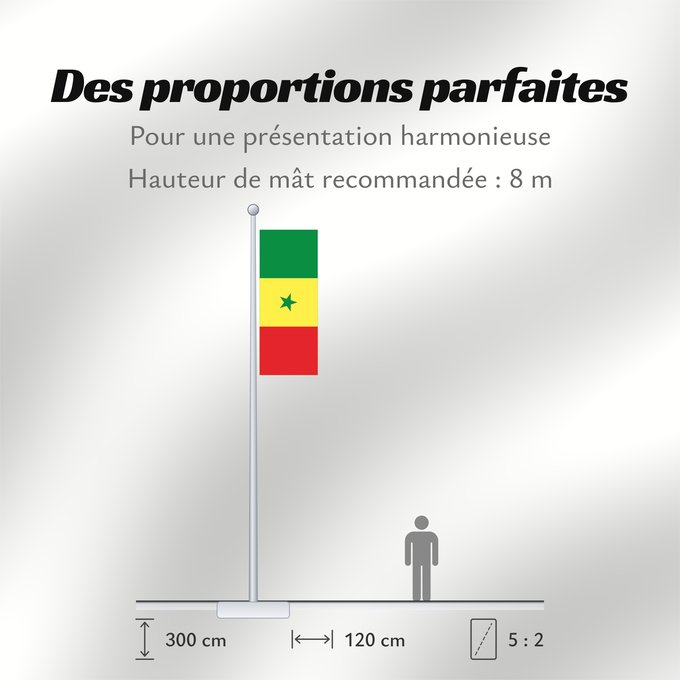 Proportions du drapeau : Senegal	Sénégal	Senegalo	پرچم سنگال	Senegala