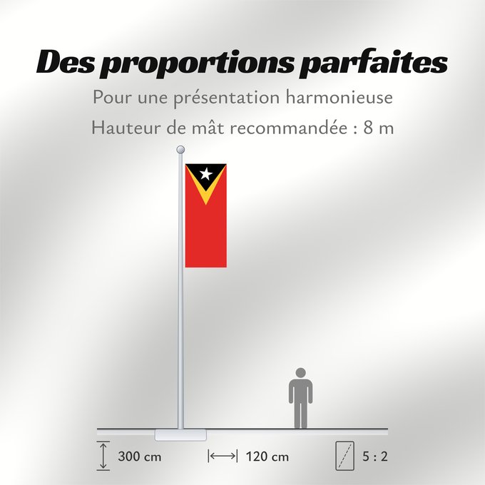 Proportions du drapeau : East Timor Timor-Leste East Timor Timor oriental Timor Oriental Osttimor Timor Est Timor-Leste Oost-Timor Timor-Leste علم تيمور الشرقية তিমুর লেস্তের জাতীয় পতাকা Timor Leste Флаг Восточного Тимора Östtimors Timór Lorosa e nian