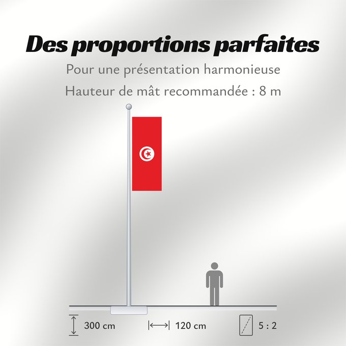 Proportions du drapeau : Tunisia	Tunisie	Túnez	Tunesien	Tunesië	علم تونس	তিউনিসিয়ার পতাকা।	Tunísia	Флаг Туниса	Tunizije	ⴰⵛⴻⵏⵢⴰⵍ ⵏ ⵜⵓⵏⴻⵙ