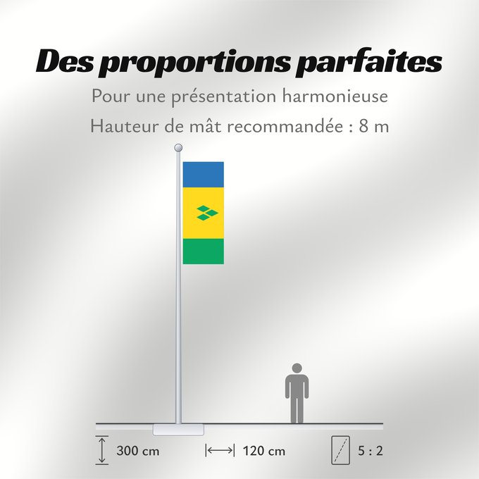 Proportions du drapeau : Saint Vincent and the Grenadines Saint-Vincent-et-les Grenadines San Vicente y las Granadinas St. Vincent und die Grenadinen Saint Vincent e Grenadine Флаг Сент-Винсента и Гренадин Saint Vincenta in Grenadin