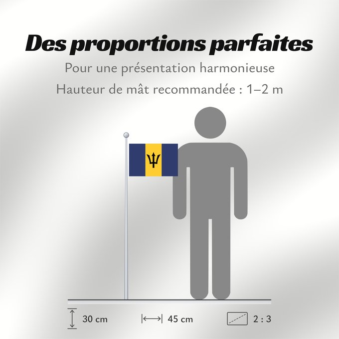 Proportions du drapeau : Barbados Barbade Barbado Barbadoksen Ala Barbadosê Флаг Барбадоса Barbadosa