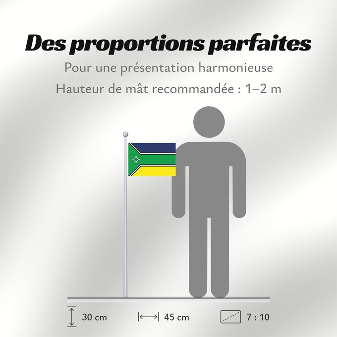 Proportions du drapeau : Amapá