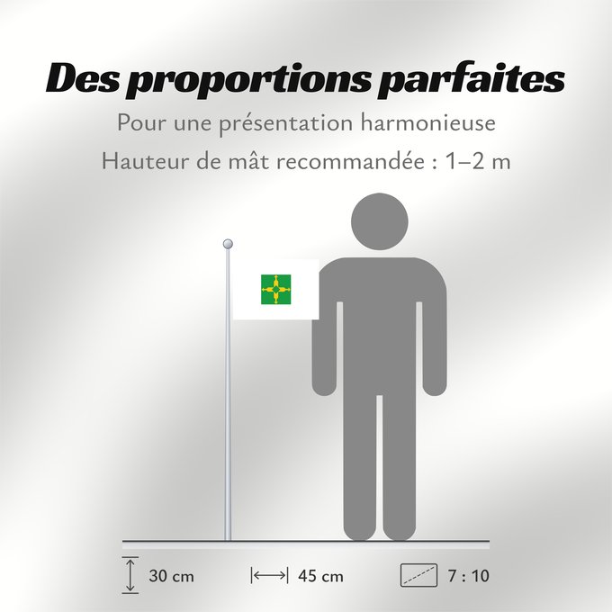 Proportions du drapeau : Distrito Federal