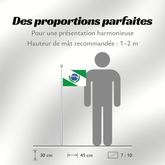 Proportions du drapeau : Paraná