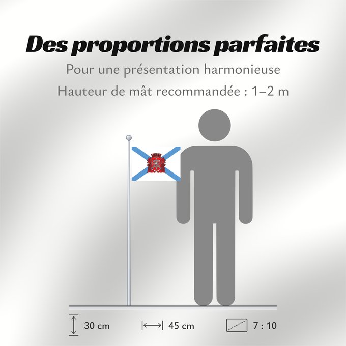 Proportions du drapeau : Cidade do Rio de Janeiro City of Rio de Janeiro Rio de Janeiro Río de Janeiro Stadt Rio de Janeiro
