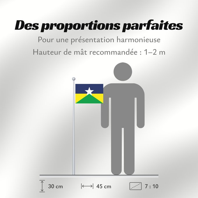Proportions du drapeau : Rondônia