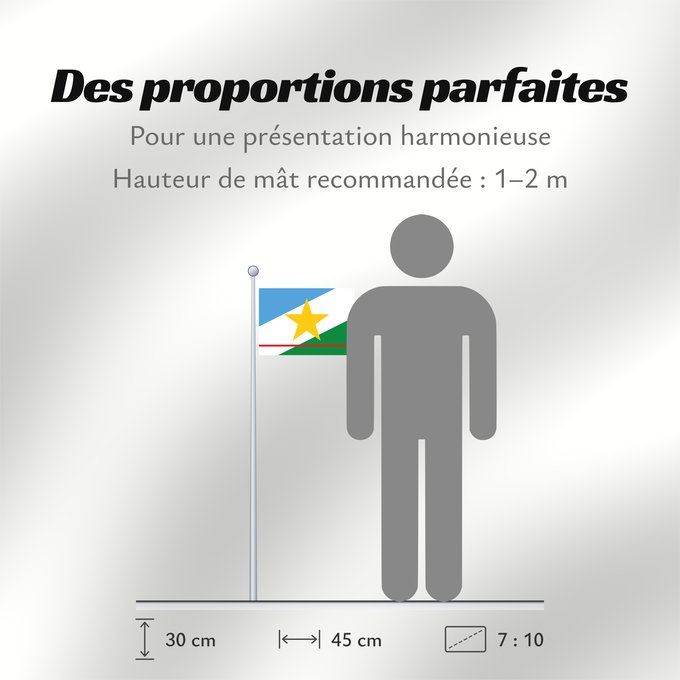 Proportions du drapeau : Roraima