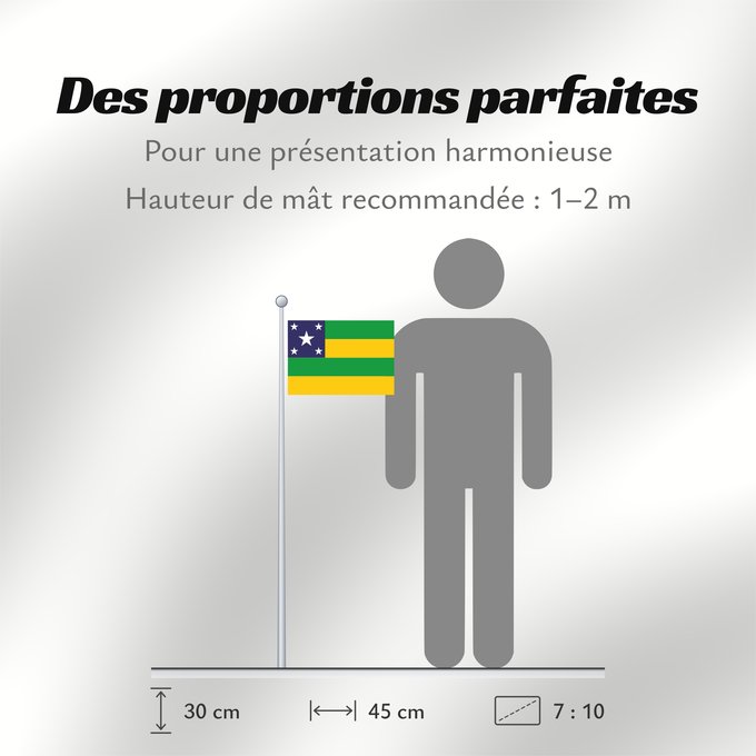 Proportions du drapeau : Sergipe	State of Sergipe, Brazil	Sergipe, Brasil