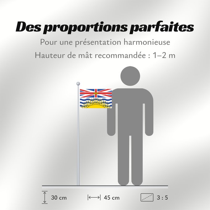 Proportions du drapeau : British Columbia	Colombie-Britannique	Columbia Británica	Columbia Britannica	Banniel proviñs Kolombia Vreizhveuriat  British Columbia