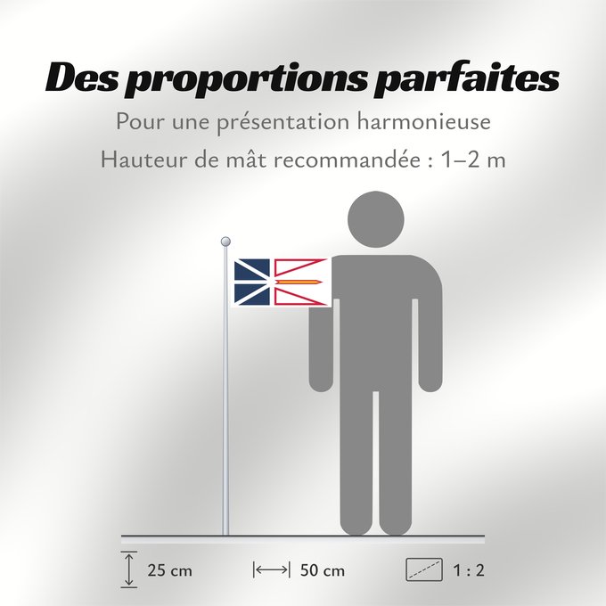 Proportions du drapeau : Newfoundland and Labrador	Terre-Neuve-et-Labrador	Terranova y Labrador	Neufundland und Labrador	Terranova	Banniel Douar-Nevez ha Labrador