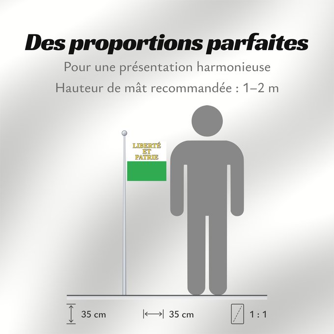 Proportions du drapeau : Canton of Vaud Vaud canton de Vaud República y cantón de Vaud Vaud