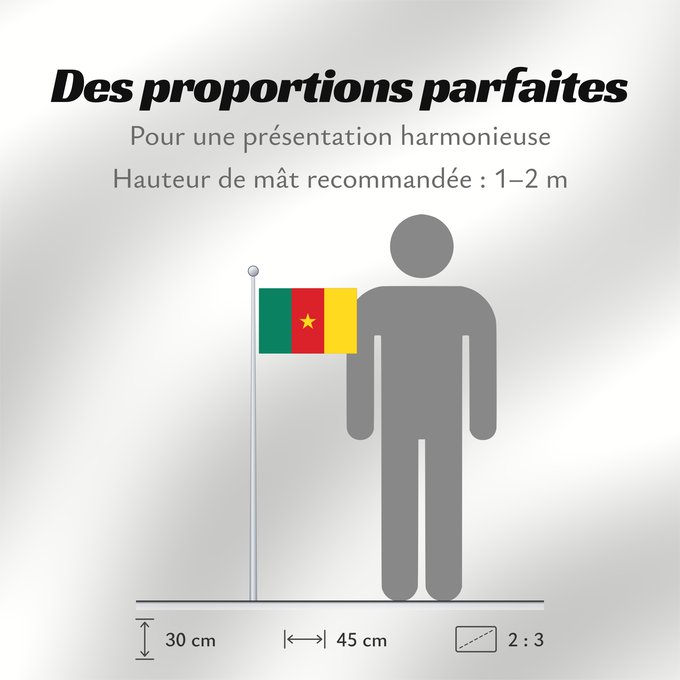 Proportions du drapeau : Cameroon	Cameroun	Camerún	Kamerun	Camerun	ক্যামেরুনের পতাকা।	Kamerunu	Kameruno	پرچم کامرون	Fändel vum Kamerun	Знаме на Камерун	Camerunului	Kameruna	Kameruns