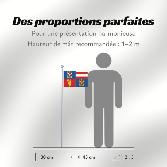 Proportions du drapeau : South Moravian Region	Région de Moravie du Sud)	Región de Moravia Meridional	Südmährische Region	Moravia meridionale	Jihomoravského kraje